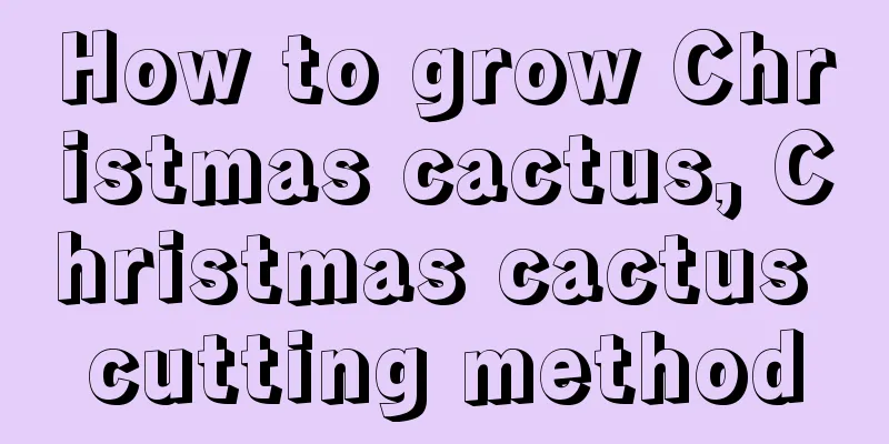 How to grow Christmas cactus, Christmas cactus cutting method