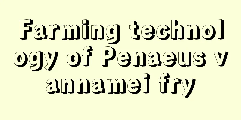 Farming technology of Penaeus vannamei fry