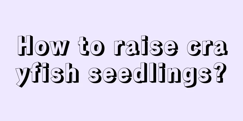 How to raise crayfish seedlings?