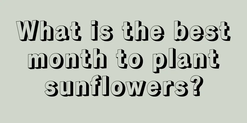 What is the best month to plant sunflowers?