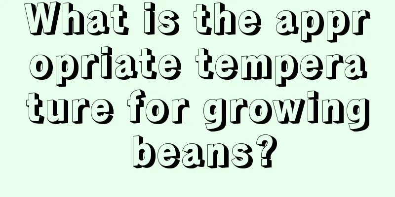 What is the appropriate temperature for growing beans?