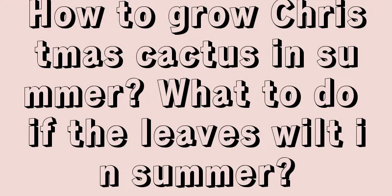 How to grow Christmas cactus in summer? What to do if the leaves wilt in summer?