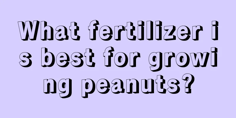 What fertilizer is best for growing peanuts?