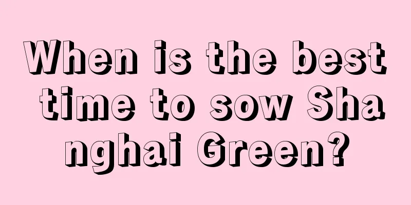 When is the best time to sow Shanghai Green?