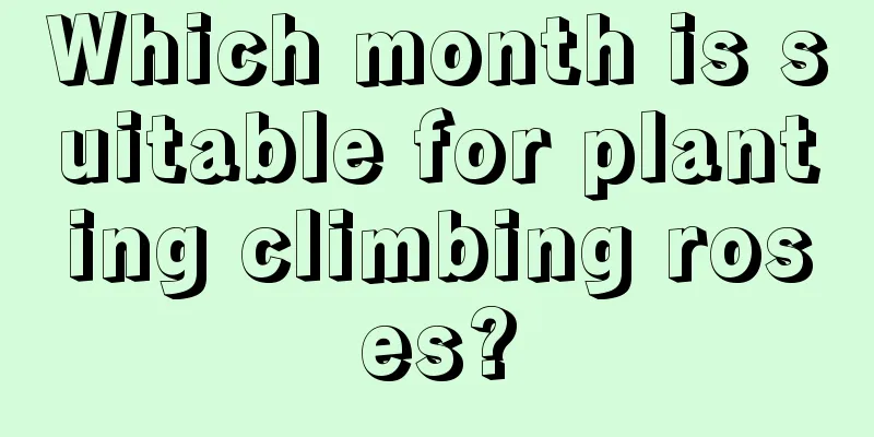 Which month is suitable for planting climbing roses?