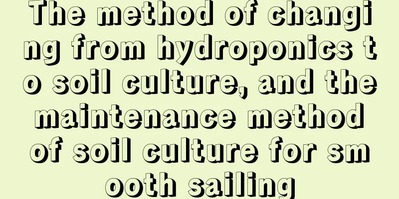 The method of changing from hydroponics to soil culture, and the maintenance method of soil culture for smooth sailing