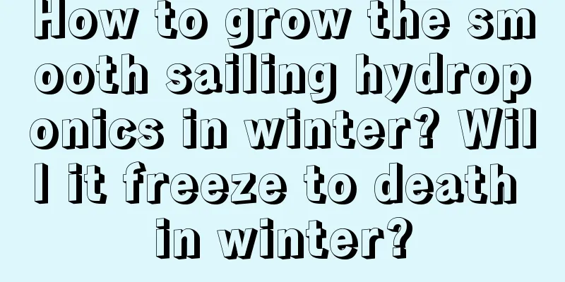 How to grow the smooth sailing hydroponics in winter? Will it freeze to death in winter?