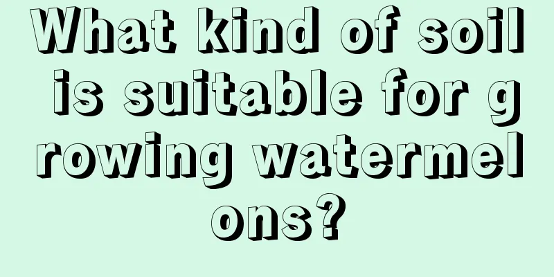 What kind of soil is suitable for growing watermelons?