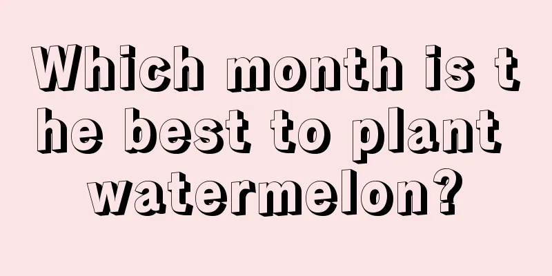 Which month is the best to plant watermelon?