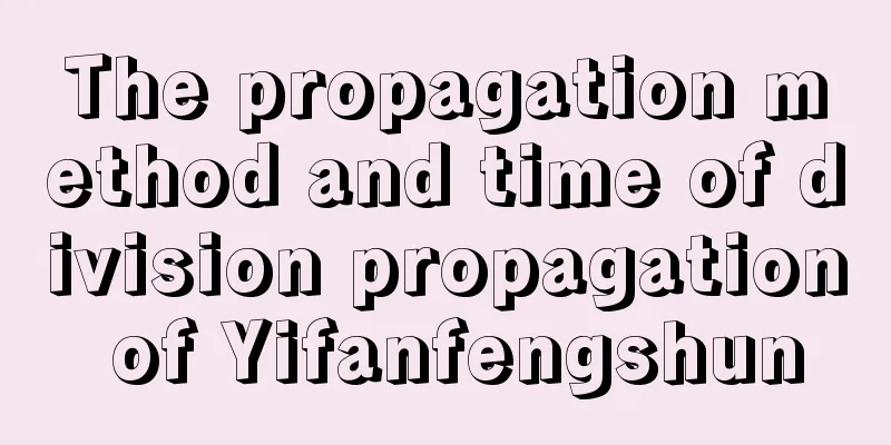 The propagation method and time of division propagation of Yifanfengshun