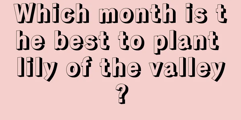 Which month is the best to plant lily of the valley?