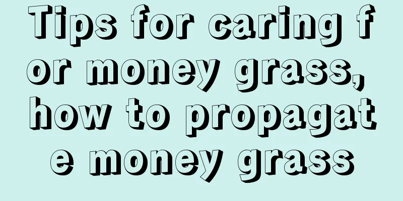 Tips for caring for money grass, how to propagate money grass