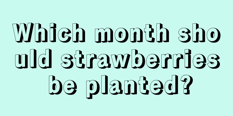 Which month should strawberries be planted?