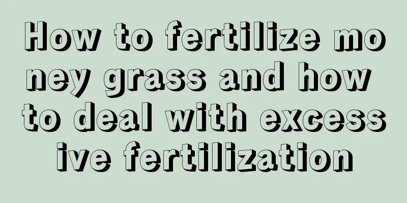 How to fertilize money grass and how to deal with excessive fertilization