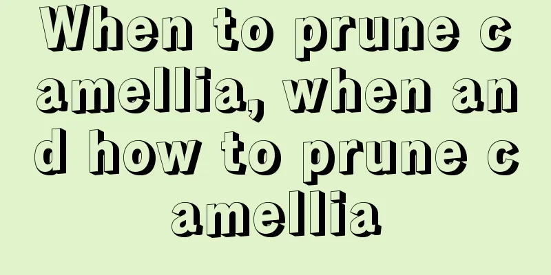 When to prune camellia, when and how to prune camellia