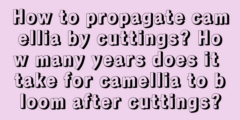 How to propagate camellia by cuttings? How many years does it take for camellia to bloom after cuttings?