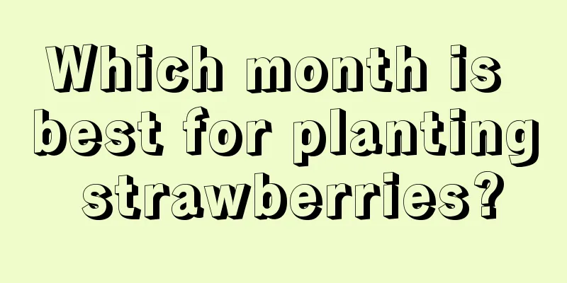 Which month is best for planting strawberries?