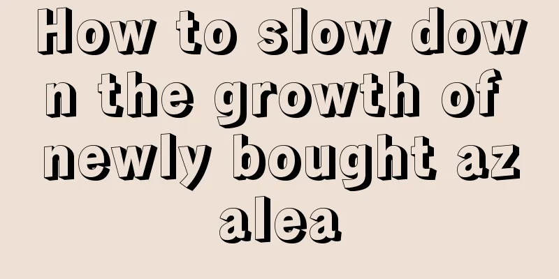 How to slow down the growth of newly bought azalea