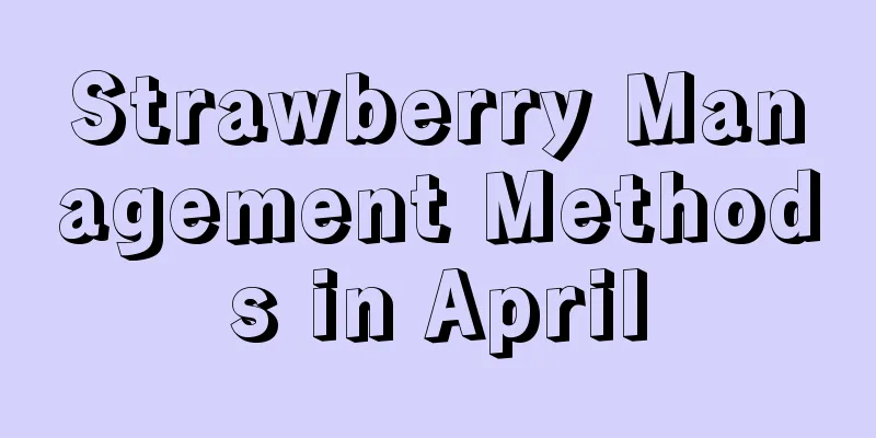 Strawberry Management Methods in April