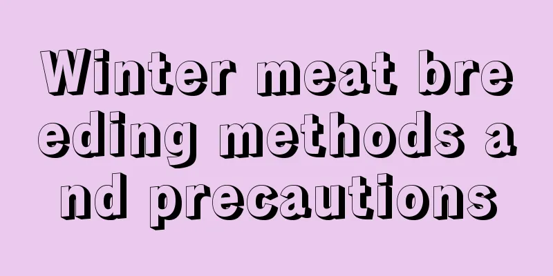 Winter meat breeding methods and precautions