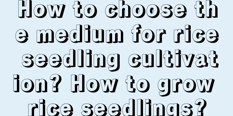 How to choose the medium for rice seedling cultivation? How to grow rice seedlings?