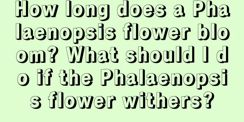 How long does a Phalaenopsis flower bloom? What should I do if the Phalaenopsis flower withers?