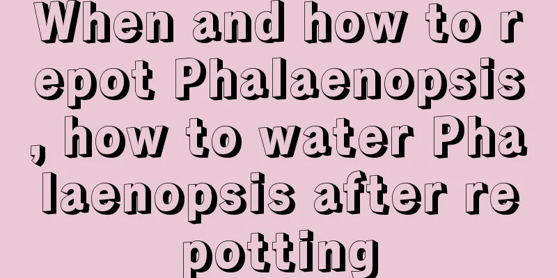 When and how to repot Phalaenopsis, how to water Phalaenopsis after repotting