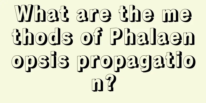 What are the methods of Phalaenopsis propagation?