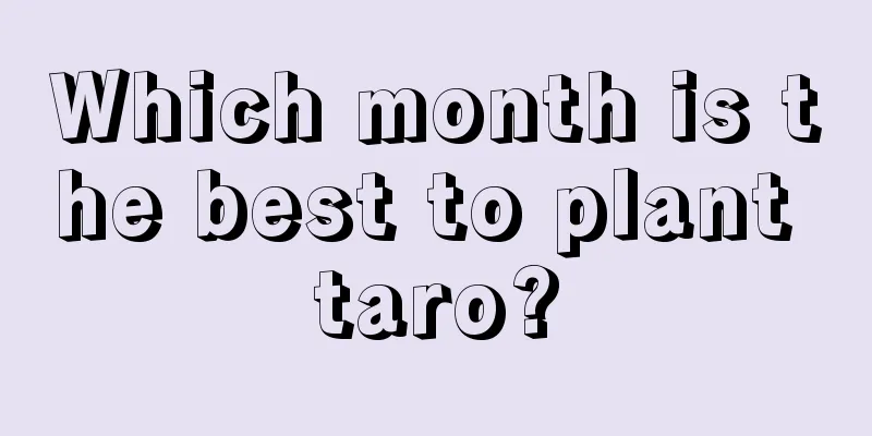 Which month is the best to plant taro?