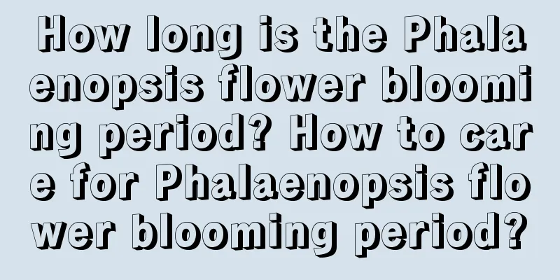 How long is the Phalaenopsis flower blooming period? How to care for Phalaenopsis flower blooming period?