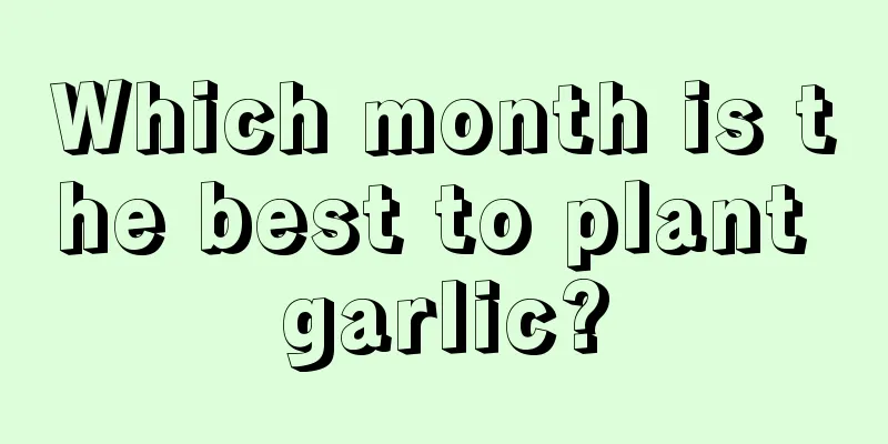 Which month is the best to plant garlic?