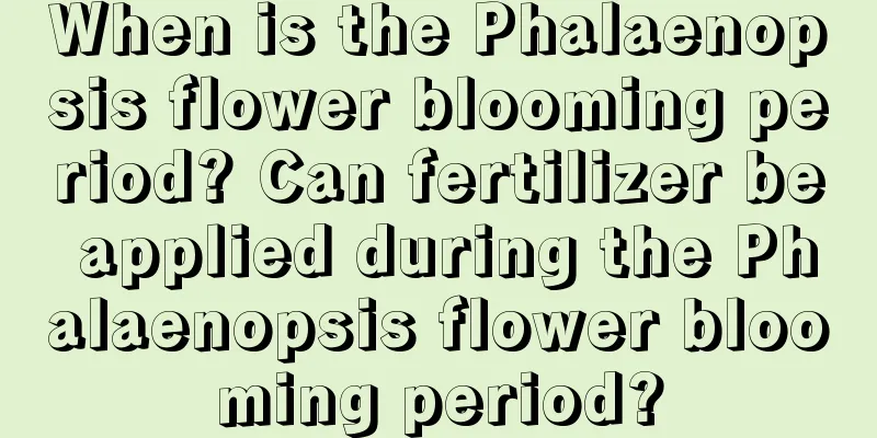 When is the Phalaenopsis flower blooming period? Can fertilizer be applied during the Phalaenopsis flower blooming period?