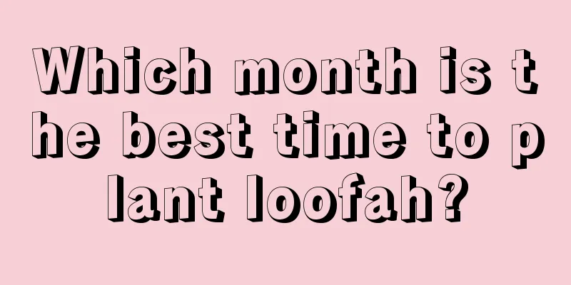 Which month is the best time to plant loofah?