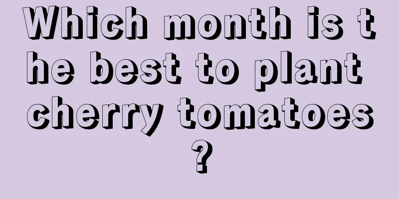 Which month is the best to plant cherry tomatoes?