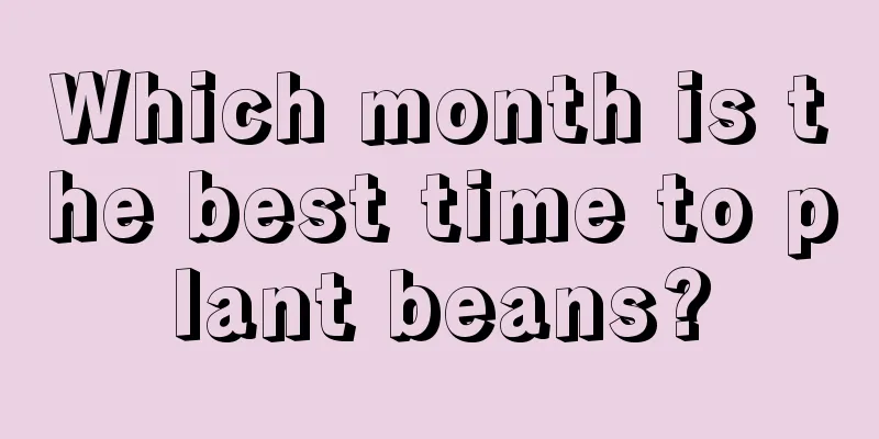 Which month is the best time to plant beans?