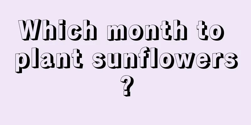 Which month to plant sunflowers?