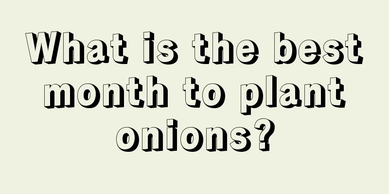 What is the best month to plant onions?