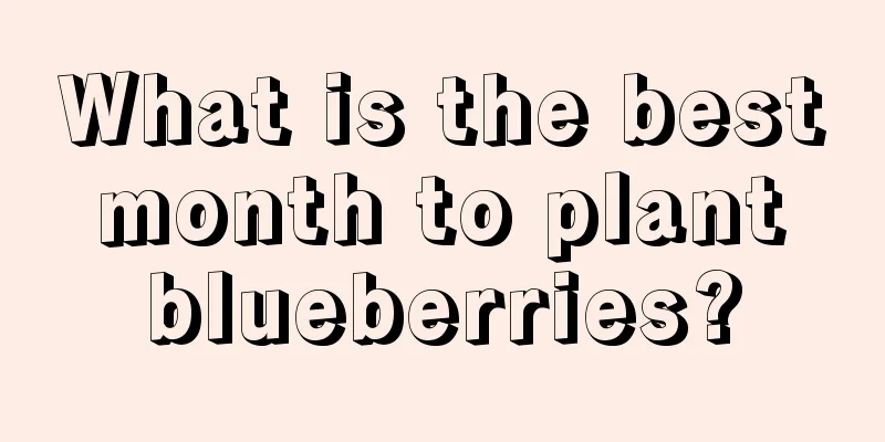 What is the best month to plant blueberries?