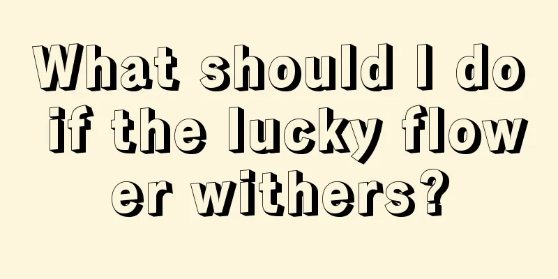 What should I do if the lucky flower withers?