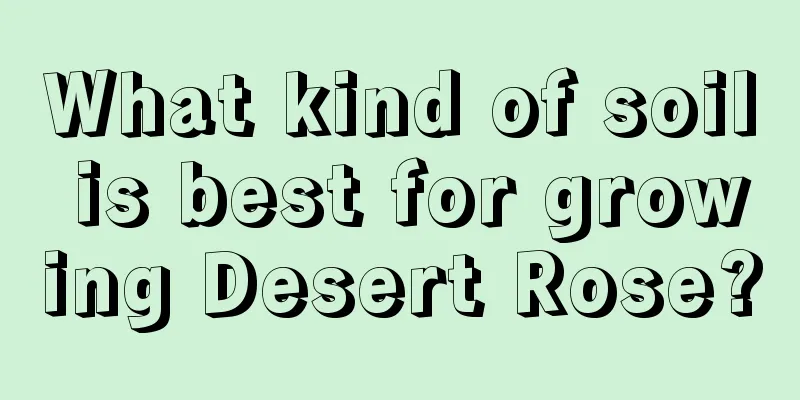 What kind of soil is best for growing Desert Rose?