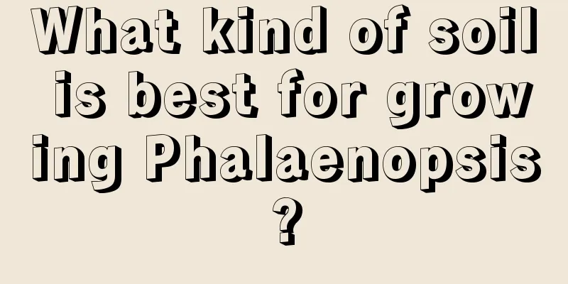 What kind of soil is best for growing Phalaenopsis?