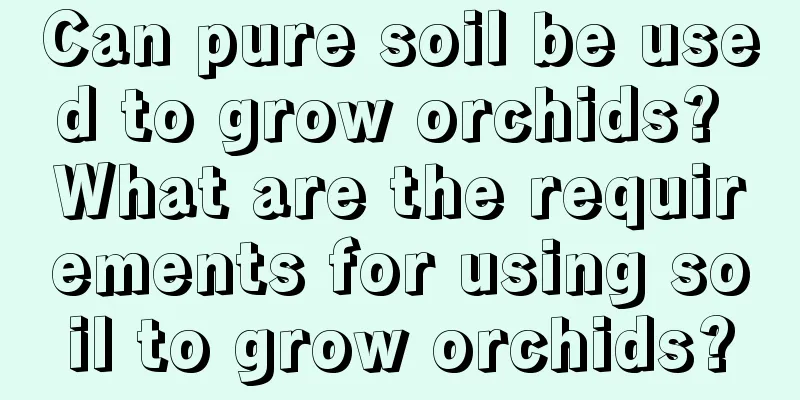 Can pure soil be used to grow orchids? What are the requirements for using soil to grow orchids?