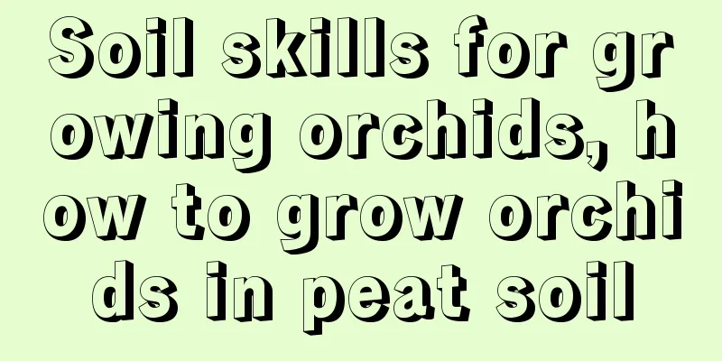 Soil skills for growing orchids, how to grow orchids in peat soil