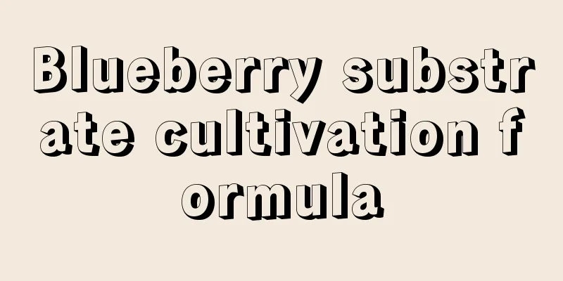 Blueberry substrate cultivation formula