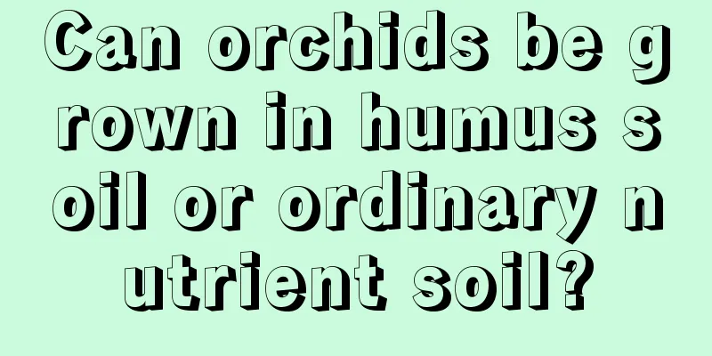 Can orchids be grown in humus soil or ordinary nutrient soil?