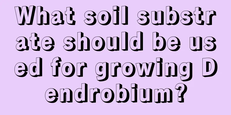 What soil substrate should be used for growing Dendrobium?