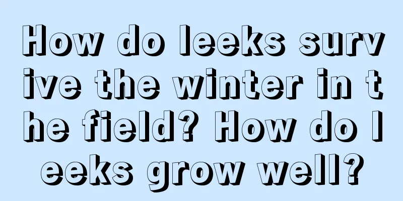 How do leeks survive the winter in the field? How do leeks grow well?