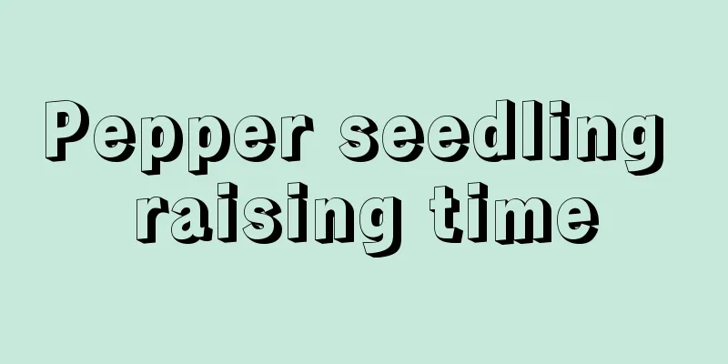 Pepper seedling raising time