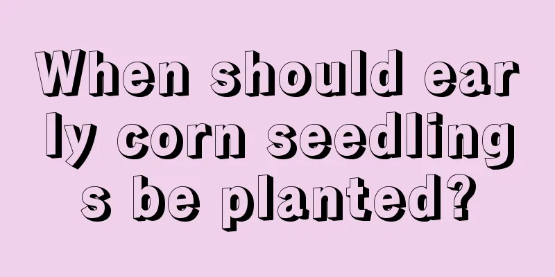 When should early corn seedlings be planted?