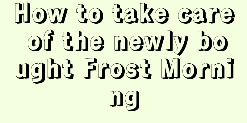 How to take care of the newly bought Frost Morning